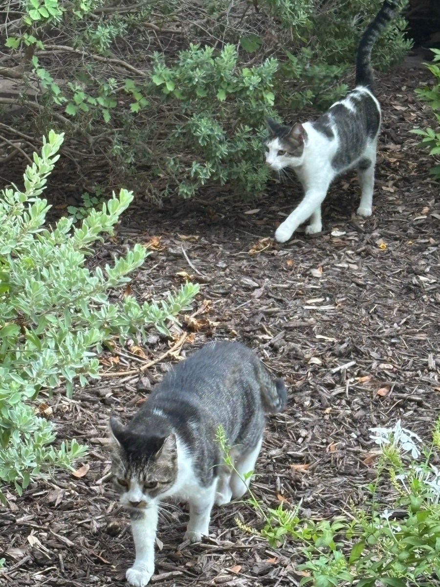 Jack November 15, 2025