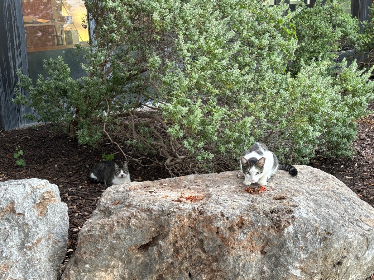 Jack November 15, 2025