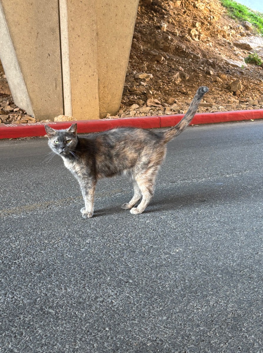 Chloe, November 17, 2025