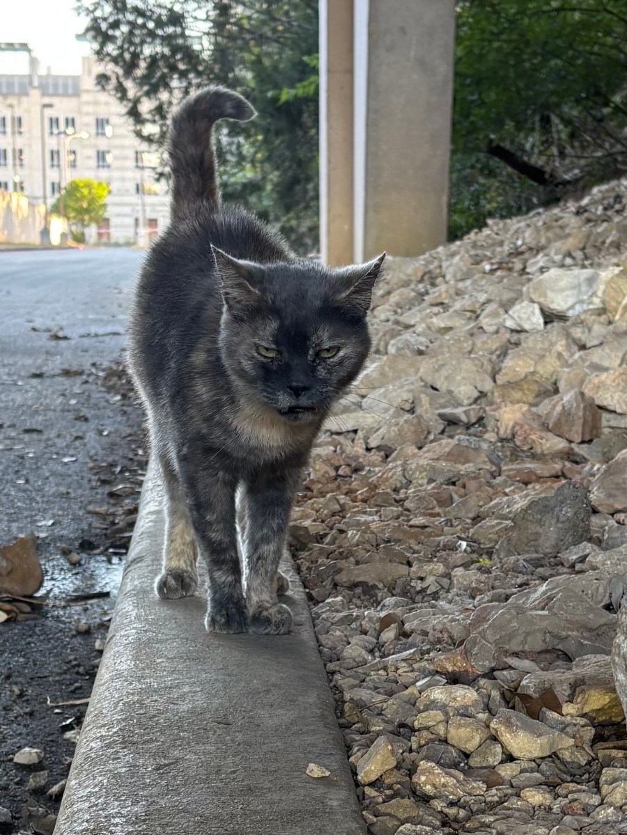 Chloe, November 17, 2025